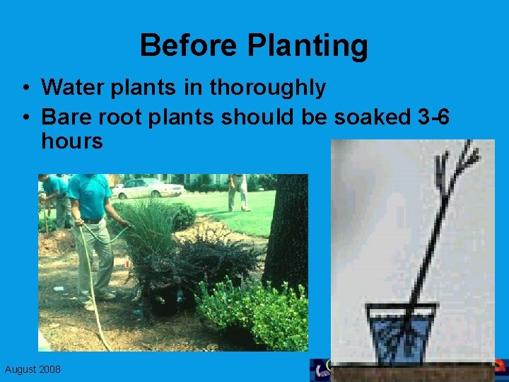 Before Planting • Water plants in thoroughly • Bare root plants should be soaked