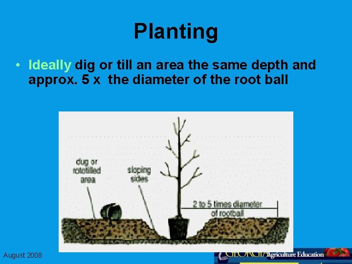 Planting • Ideally dig or till an area the same depth and approx. 5