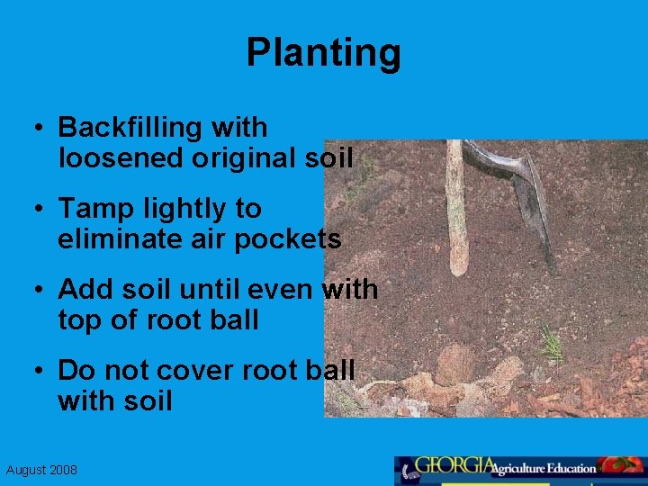 Planting • Backfilling with loosened original soil • Tamp lightly to eliminate air pockets