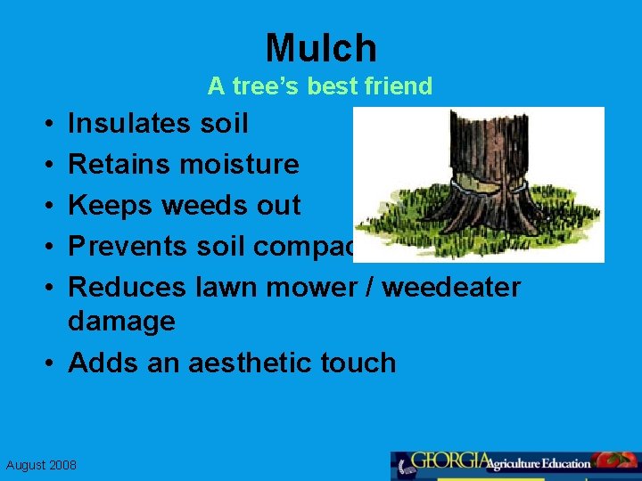 Mulch A tree’s best friend • • • Insulates soil Retains moisture Keeps weeds