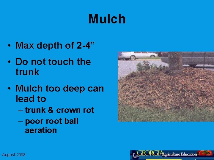 Mulch • Max depth of 2 -4” • Do not touch the trunk •