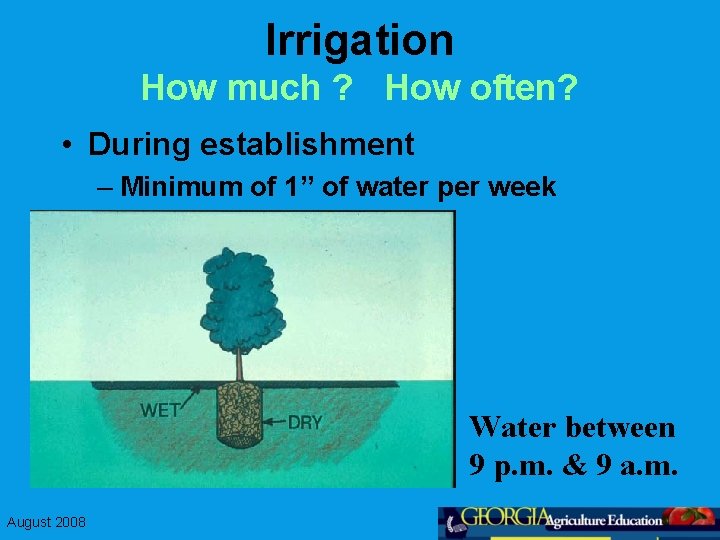 Irrigation How much ? How often? • During establishment – Minimum of 1” of