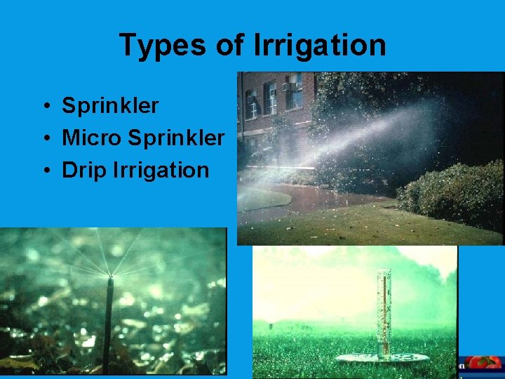 Types of Irrigation • Sprinkler • Micro Sprinkler • Drip Irrigation August 2008 
