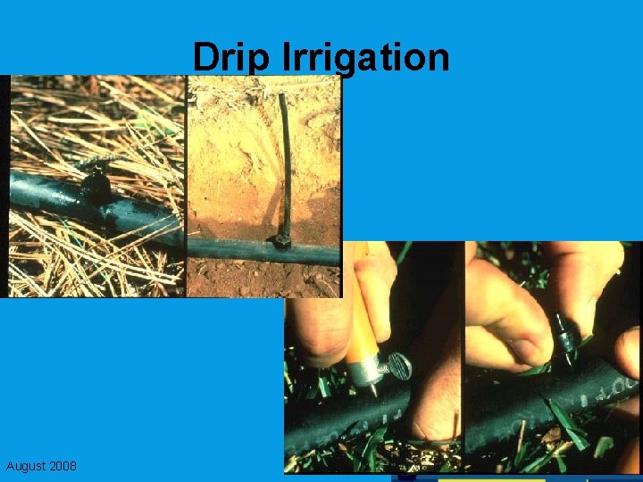 Drip Irrigation August 2008 