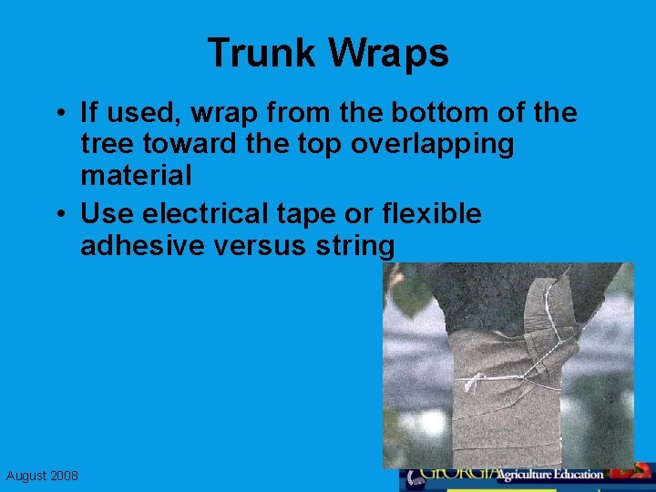 Trunk Wraps • If used, wrap from the bottom of the tree toward the