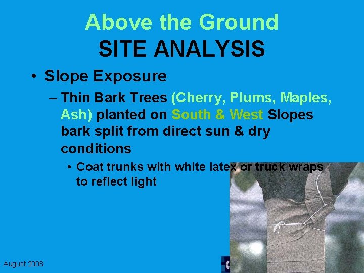 Above the Ground SITE ANALYSIS • Slope Exposure – Thin Bark Trees (Cherry, Plums,