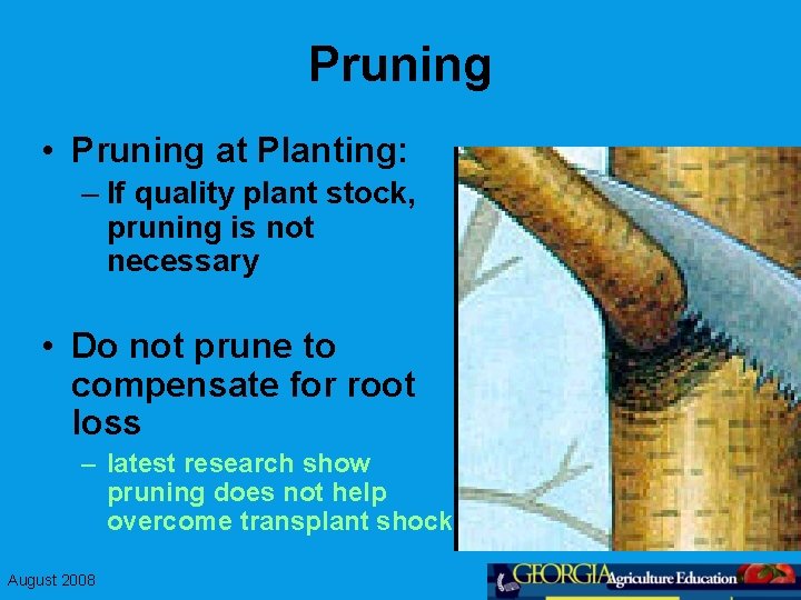 Pruning • Pruning at Planting: – If quality plant stock, pruning is not necessary
