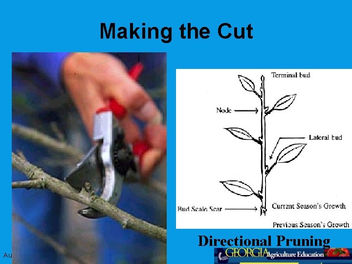 Making the Cut Directional Pruning August 2008 