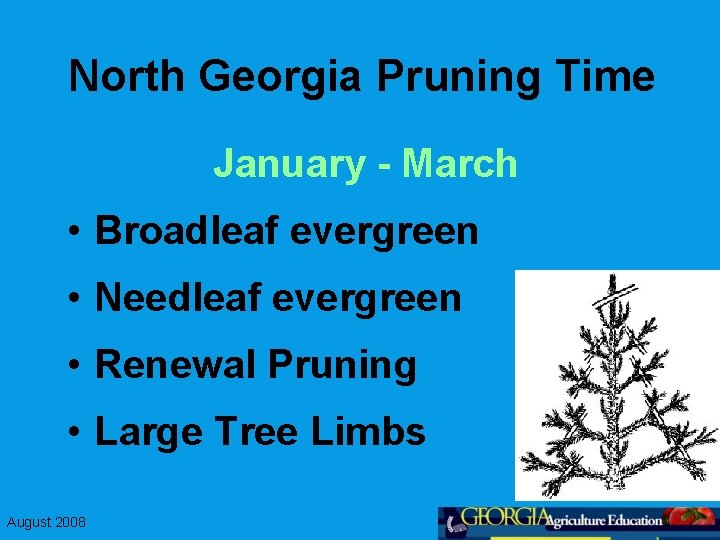 North Georgia Pruning Time January - March • Broadleaf evergreen • Needleaf evergreen •