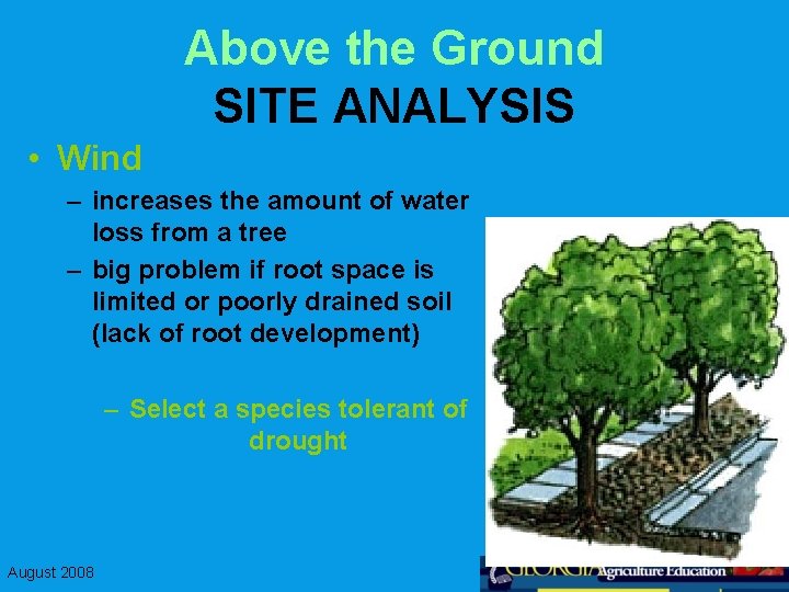 Above the Ground SITE ANALYSIS • Wind – increases the amount of water loss