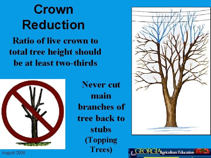 Crown Reduction Ratio of live crown to total tree height should be at least