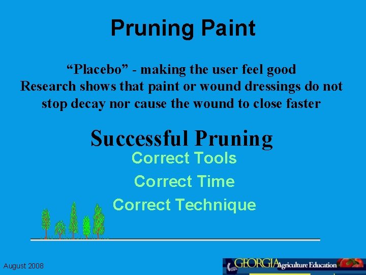 Pruning Paint “Placebo” - making the user feel good Research shows that paint or