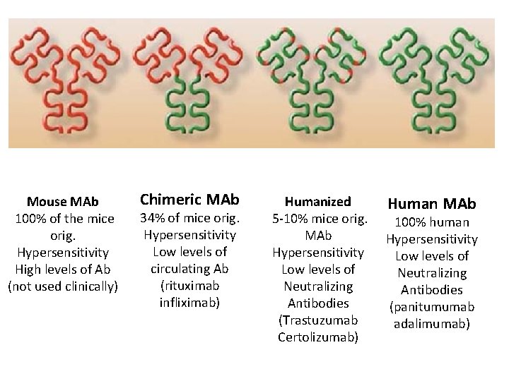 Mouse MAb 100% of the mice orig. Hypersensitivity High levels of Ab (not used