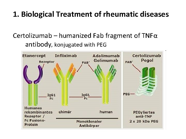 1. Biological Treatment of rheumatic diseases Certolizumab – humanized Fab fragment of TNFα antibody,