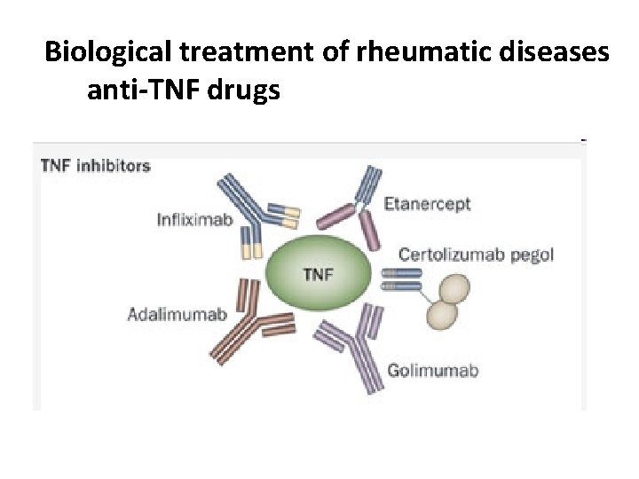 Biological treatment of rheumatic diseases anti-TNF drugs 