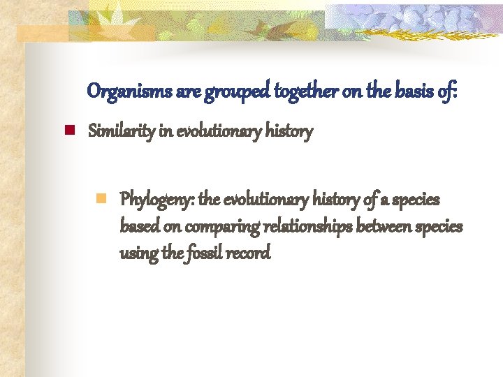 Organisms are grouped together on the basis of: n Similarity in evolutionary history n