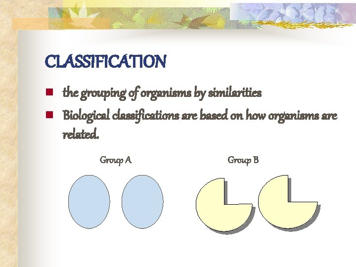 CLASSIFICATION n n the grouping of organisms by similarities Biological classifications are based on