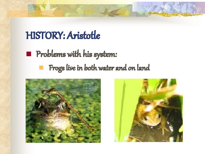 HISTORY: Aristotle n Problems with his system: n Frogs live in both water and