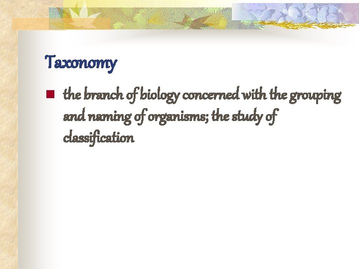 Taxonomy n the branch of biology concerned with the grouping and naming of organisms;