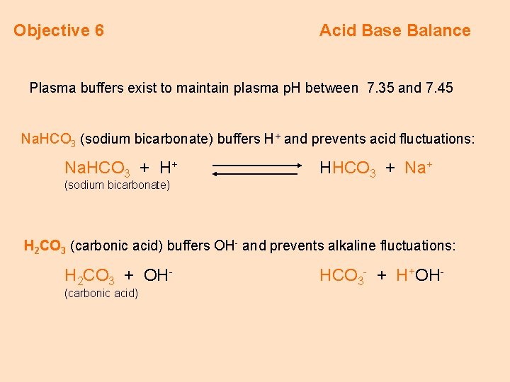 Objective 6 Acid Base Balance Plasma buffers exist to maintain plasma p. H between