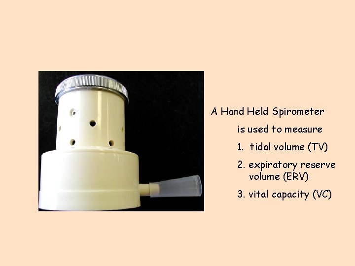 A Hand Held Spirometer is used to measure 1. tidal volume (TV) 2. expiratory