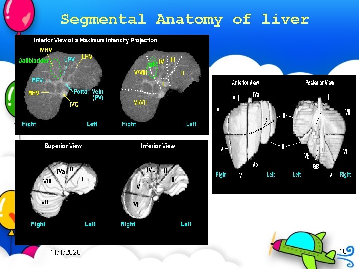 Segmental Anatomy of liver 11/1/2020 10 