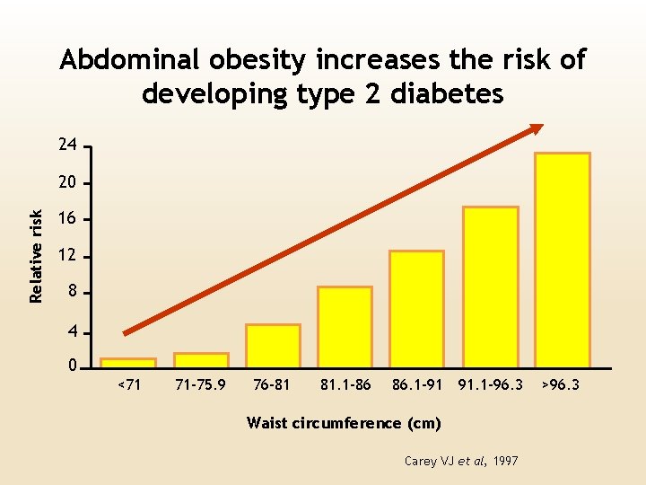 Abdominal obesity increases the risk of developing type 2 diabetes 24 Relative risk 20