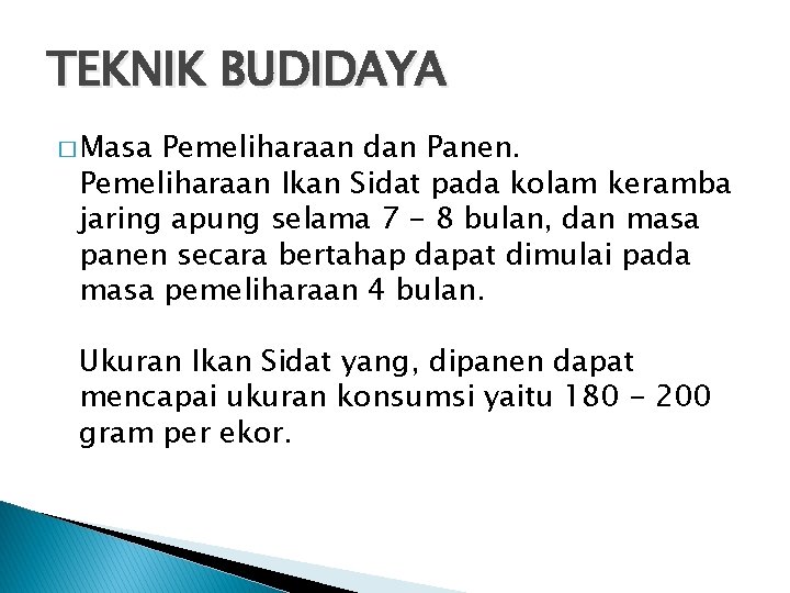 TEKNIK BUDIDAYA � Masa Pemeliharaan dan Panen. Pemeliharaan Ikan Sidat pada kolam keramba jaring