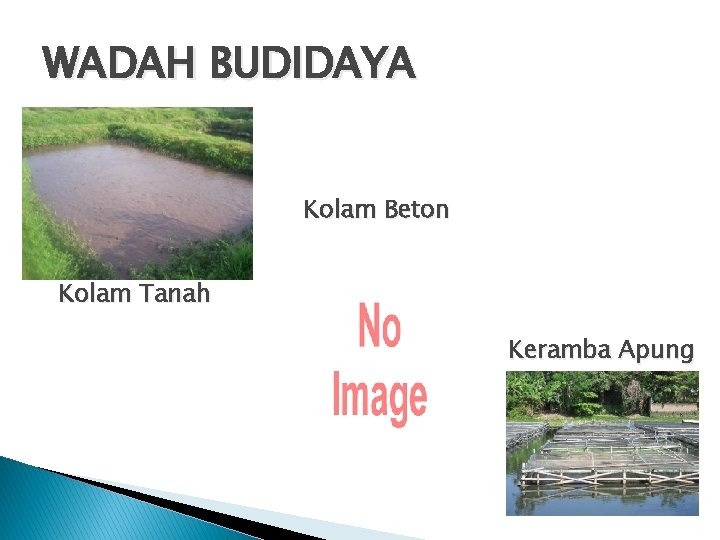 WADAH BUDIDAYA Kolam Beton Kolam Tanah Keramba Apung 