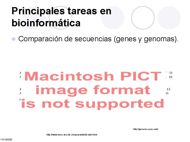 Principales tareas en bioinformática l Comparación de secuencias (genes y genomas). Tomado de: http: