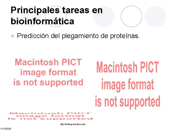 Principales tareas en bioinformática l Predicción del plegamiento de proteínas. http: //folding. stanford. edu/