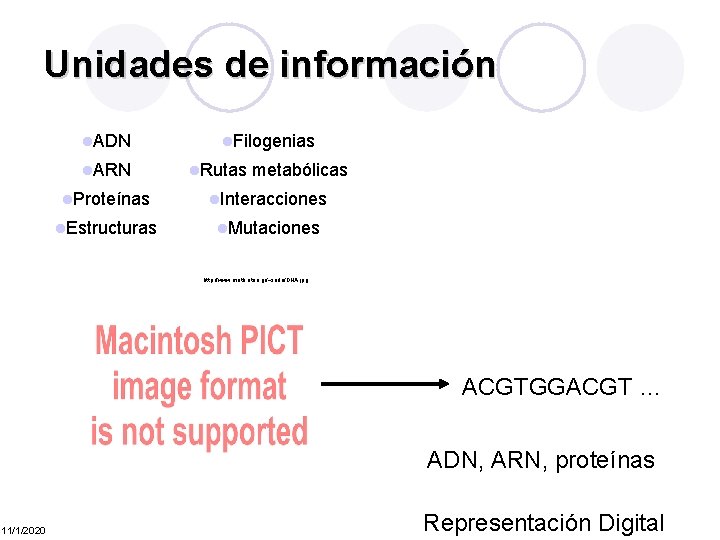 Unidades de información l. ADN l. ARN l. Filogenias l. Rutas metabólicas l. Proteínas