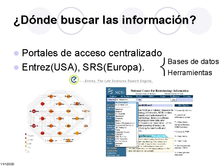 ¿Dónde buscar las información? l Portales de acceso centralizado l Entrez(USA), SRS(Europa). 11/1/2020 Bases