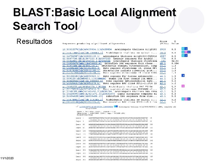 BLAST: Basic Local Alignment Search Tool Resultados 11/1/2020 