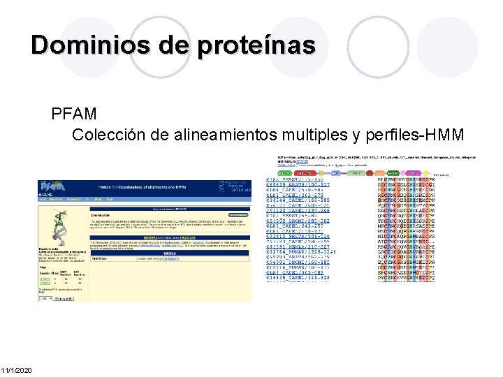 Dominios de proteínas PFAM Colección de alineamientos multiples y perfiles-HMM 11/1/2020 