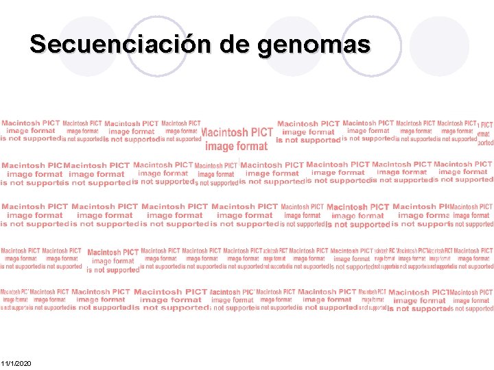 Secuenciación de genomas 11/1/2020 