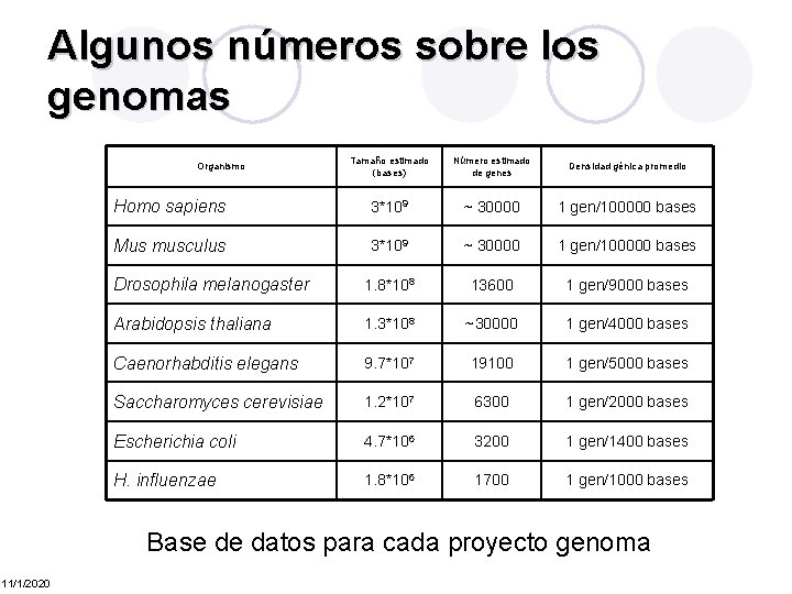 Algunos números sobre los genomas Tamaño estimado (bases) Número estimado de genes Densidad génica