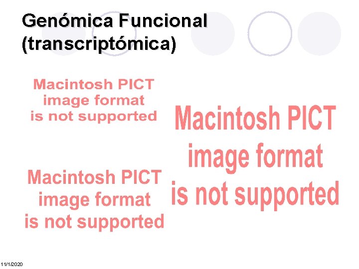 Genómica Funcional (transcriptómica) 11/1/2020 