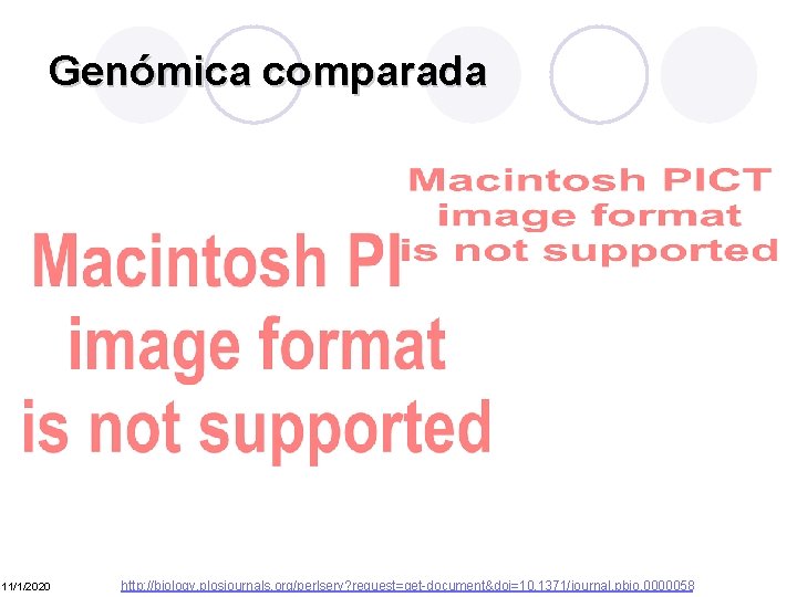 Genómica comparada 11/1/2020 http: //biology. plosjournals. org/perlserv? request=get-document&doi=10. 1371/journal. pbio. 0000058 