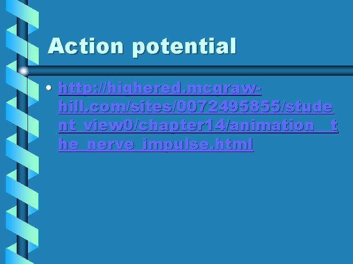 Action potential • http: //highered. mcgrawhill. com/sites/0072495855/stude nt_view 0/chapter 14/animation__t he_nerve_impulse. html 