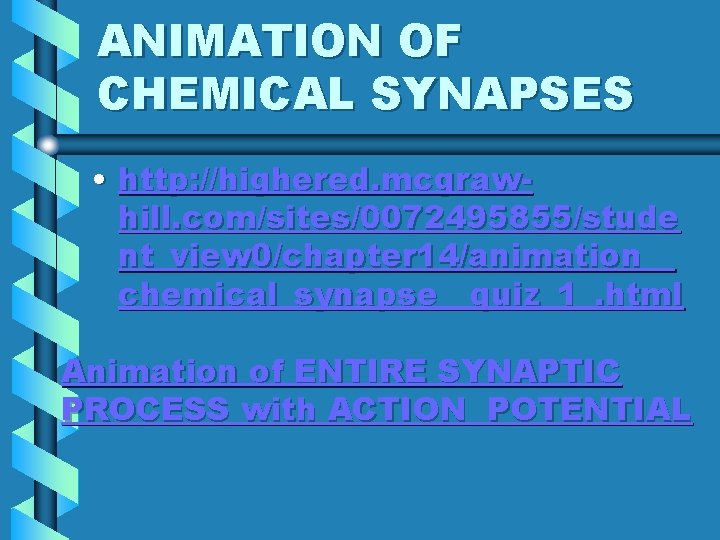 ANIMATION OF CHEMICAL SYNAPSES • http: //highered. mcgrawhill. com/sites/0072495855/stude nt_view 0/chapter 14/animation__ chemical_synapse__quiz_1_. html