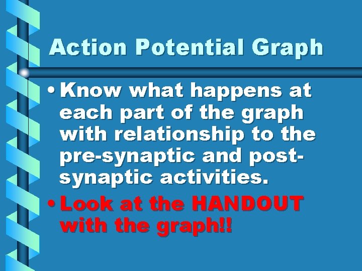 Action Potential Graph • Know what happens at each part of the graph with