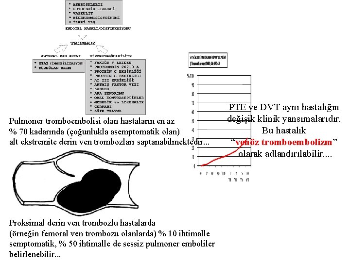 Pulmoner tromboembolisi olan hastaların en az % 70 kadarında (çoğunlukla asemptomatik olan) alt ekstremite