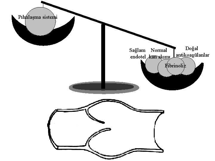 Pıhtılaşma sistemi Sağlam Normal endotel kan akımı Doğal antikoagülanlar Fibrinoliz 