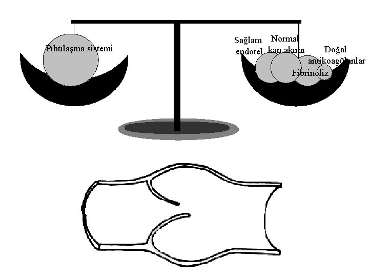 Pıhtılaşma sistemi Sağlam Normal endotel kan akımı Doğal antikoagülanlar Fibrinoliz 