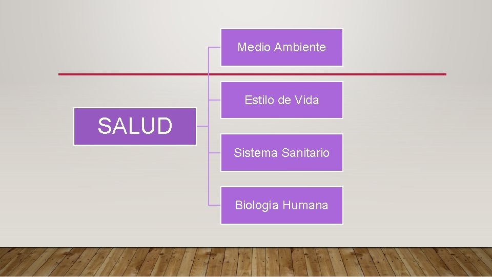 Medio Ambiente Estilo de Vida SALUD Sistema Sanitario Biología Humana 