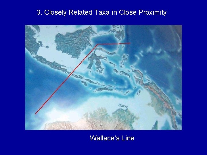 3. Closely Related Taxa in Close Proximity Wallace’s Line 