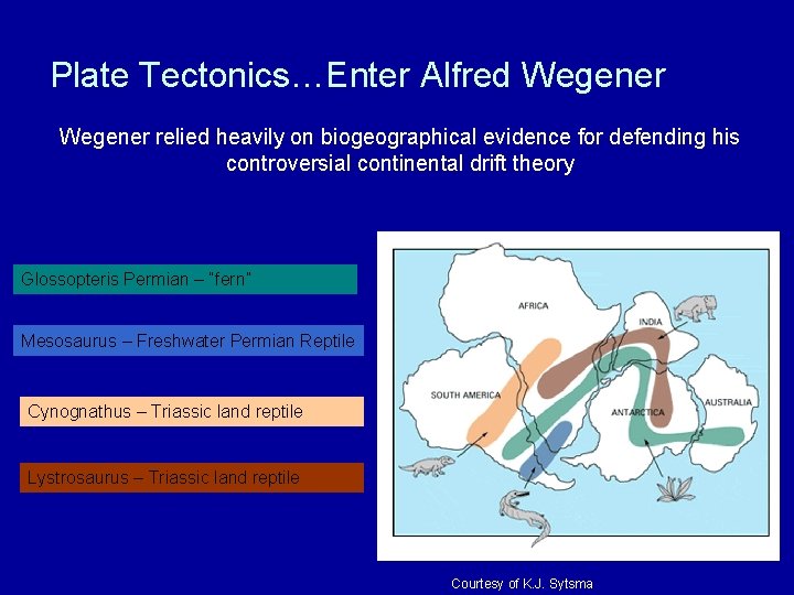 Plate Tectonics…Enter Alfred Wegener relied heavily on biogeographical evidence for defending his controversial continental