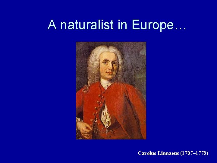 A naturalist in Europe… Carolus Linnaeus (1707– 1778) 