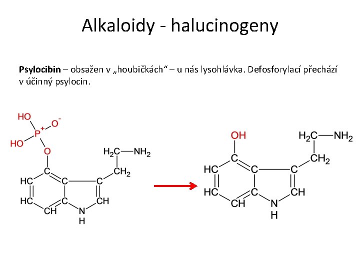 Alkaloidy - halucinogeny Psylocibin – obsažen v „houbičkách“ – u nás lysohlávka. Defosforylací přechází